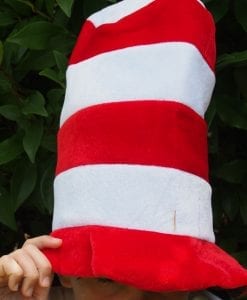 Red and White Striped Hat is a wonderfully smart and fun dress up costume accessory for boys, girls, kids and adults who would like to wear The Cat in the Hat outfit. Such a classic party theme based on a timeless book.