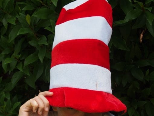 Red and White Striped Hat is a wonderfully smart and fun dress up costume accessory for boys, girls, kids and adults who would like to wear The Cat in the Hat outfit. Such a classic party theme based on a timeless book.